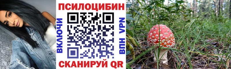 Галлюциногенные грибы мухоморы  ОМГ ОМГ вход  Красноярск  наркотики 